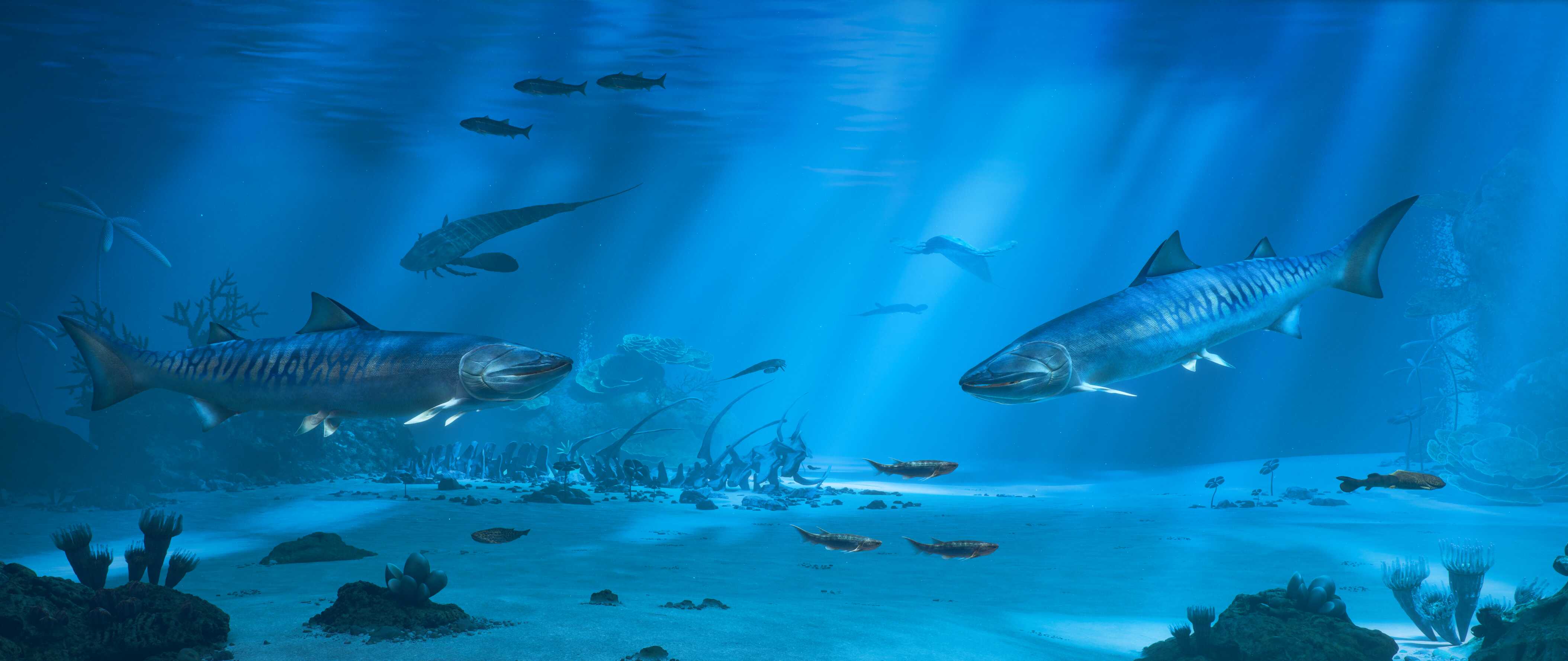 Oldest Known Bony Fish Fossils Uncover Early Vertebrate Evolution