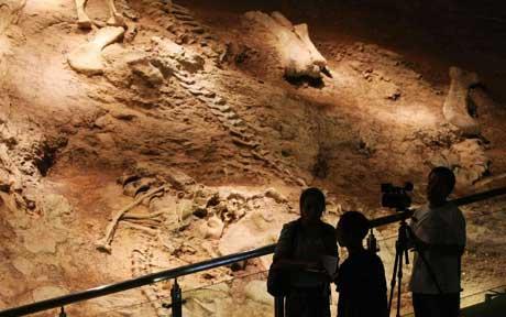 Dinosaur fossils in Kunming, southwest China