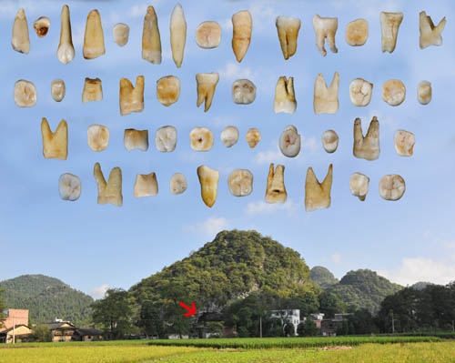 道县福岩洞外景及发现的47枚人类牙齿化石2.jpg