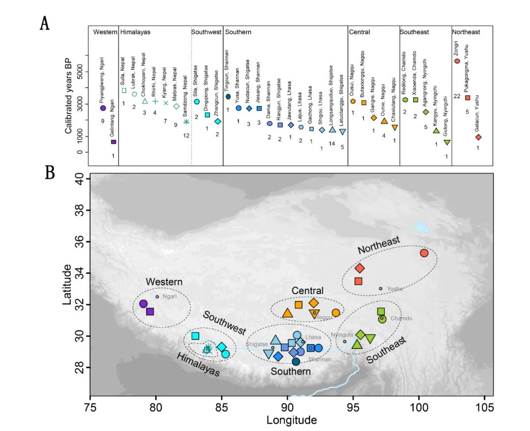 Genomic Study of Ancient Humans Sheds Light on Human Evolution on the Tibetan Plateau