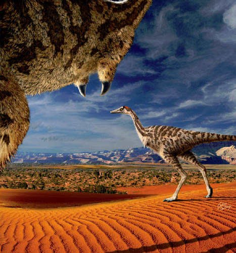 First Known Monodactyl Dinosaur Adding Knowledge to the Evolution and Biogeography of Alvarezsauroids