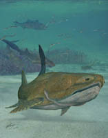 Exceptionally-preserved Fossil Fish From China Reveals the Evolution of Early Jawed Vertebrates