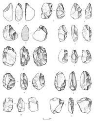 New Palaeolithic Artefacts Discovered from Loess Deposits of Lantian, Central China