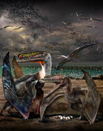 Sexually Dimorphic Tridimensionally Preserved Pterosaurs and Their Eggs Found from China