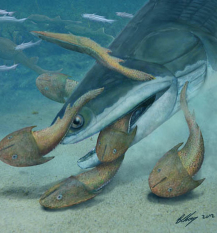 Largest Silurian Vertebrate Discovered from Yunnan, China
