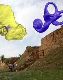 Ancient Chinese Skull Has Neandertal-like Inner Ear