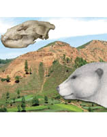 Nearest Ancestor of Living Bears Discovered from Gansu, China