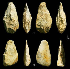 Large Cutting Tools from Central China May Support the existence of the true Acheulean techno-complex in East Asia