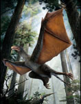 Bizarre Jurassic Dinosaur with Membranous Wings Discovered in China