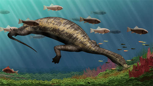 Scientists Report World’s First Herbivorous Filter-feeding Marine Reptile