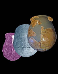 New Finds from China Suggest Human Evolution Probably of Regional Continuity