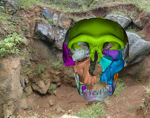 A new Middle Pleistocene human skull found in China reveals the variation and continuity in early Asian humans