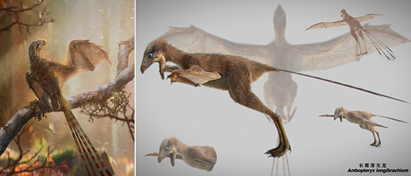 New Jurassic Non-avian Theropod Dinosaur Sheds Light on Origin of Flight in Dinosauria
