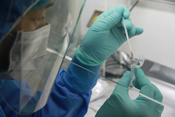 Denisovan DNA Found in Sediments of Baishiya Karst Cave on Tibetan Plateau