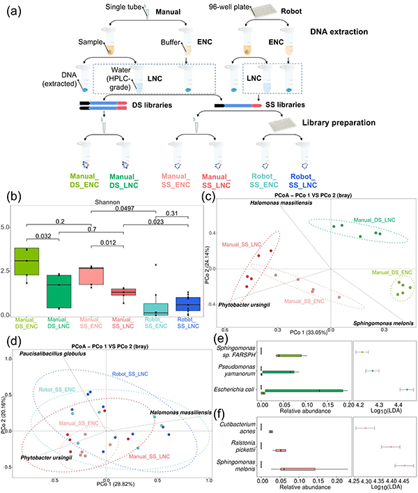 Assessment of contaminants associated with gold-standard ancient DNA protocols