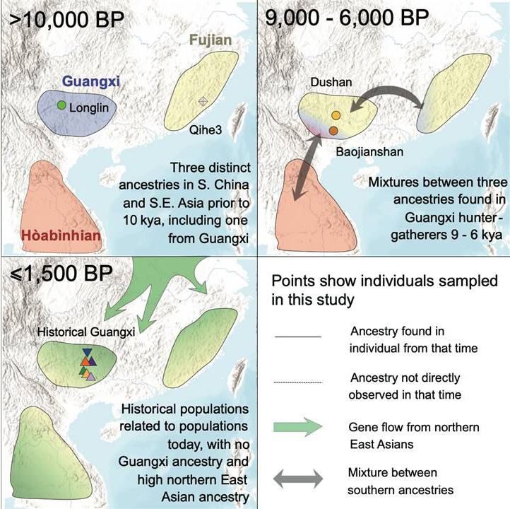 New Findings Unveil a Missing Piece of Human Prehistory