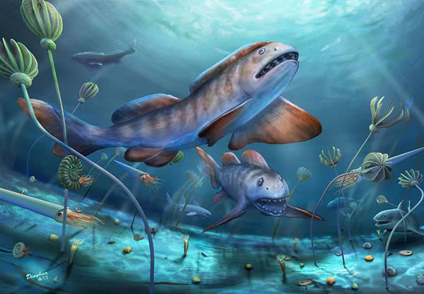 290-million-year-old 'Shark' with Large Petal-shaped Teeth Found in China for the First Time