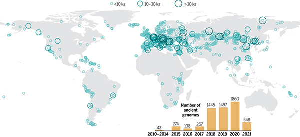 Decoding Human History with Ancient DNA