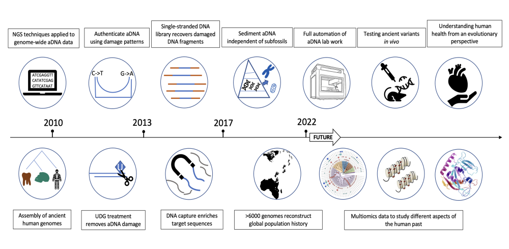 Researchers Chart Advances in Ancient DNA Technology