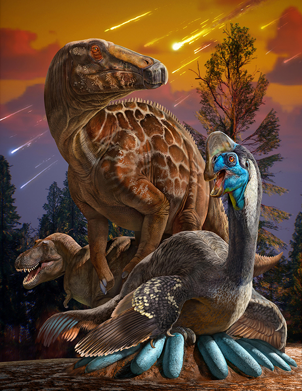 Chinese Fossil Eggs Show Dinosaur Decline Before Extinction