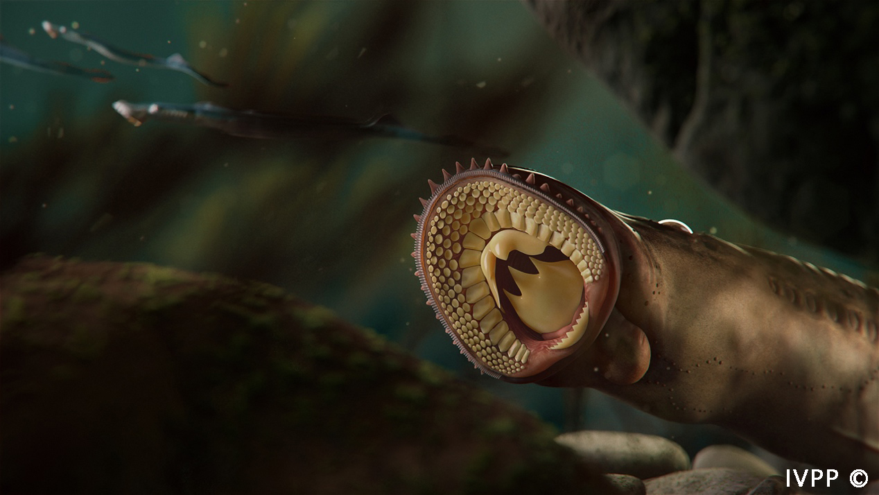 Jawless ‘Bite’ from the Past: Jurassic Fossils Shed Light on Lamprey Evolution