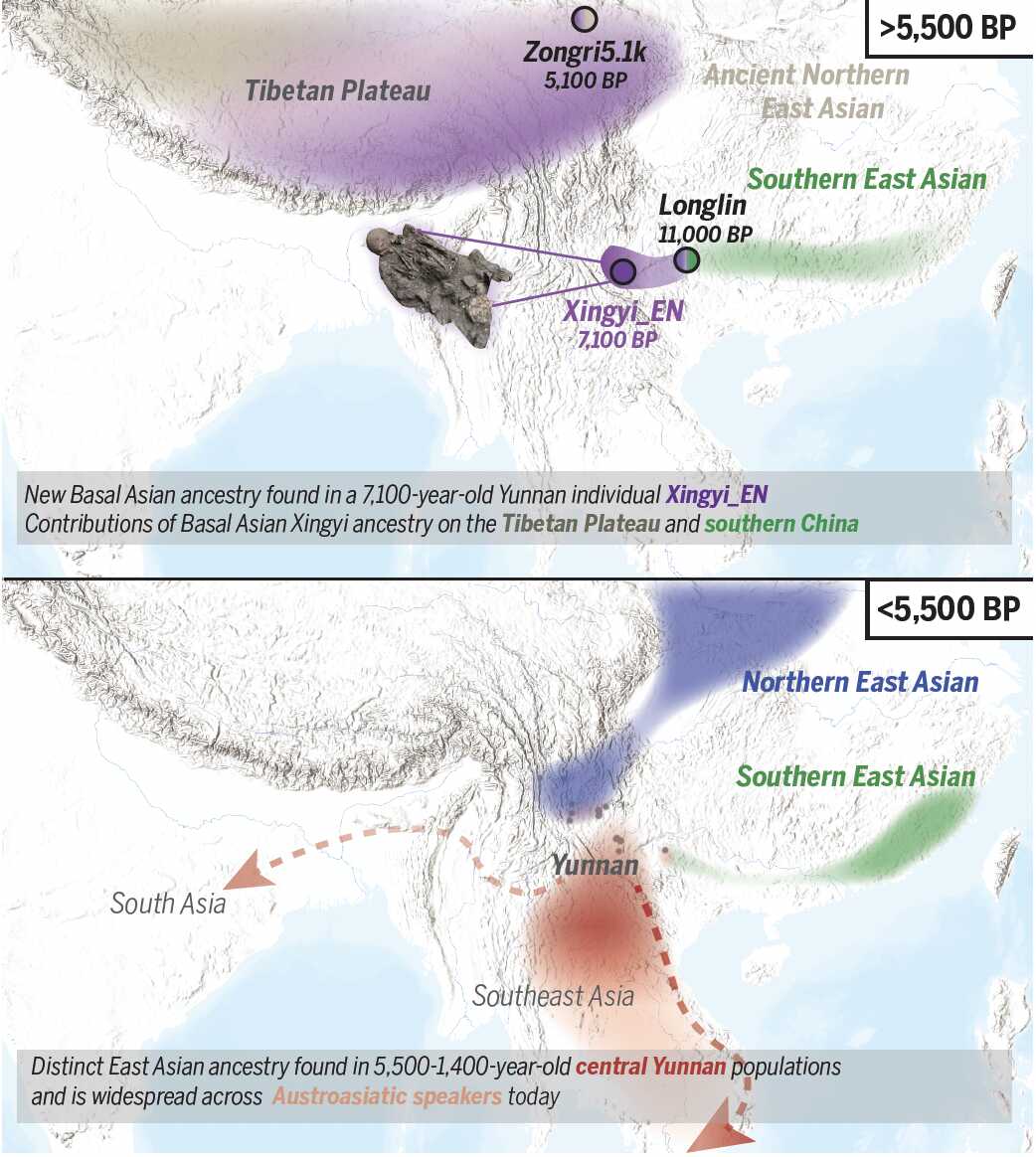 Ancient Genomes Shed Light on Human Prehistory in East Asia