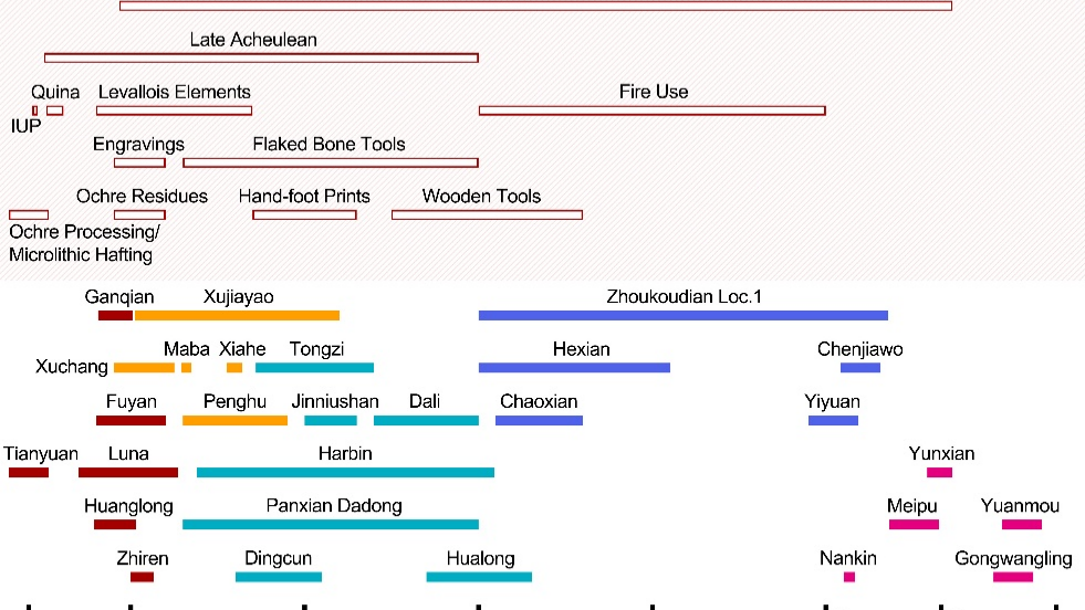 Insights from Chinese Paleoanthropology: Rewriting the Story of Human Evolution