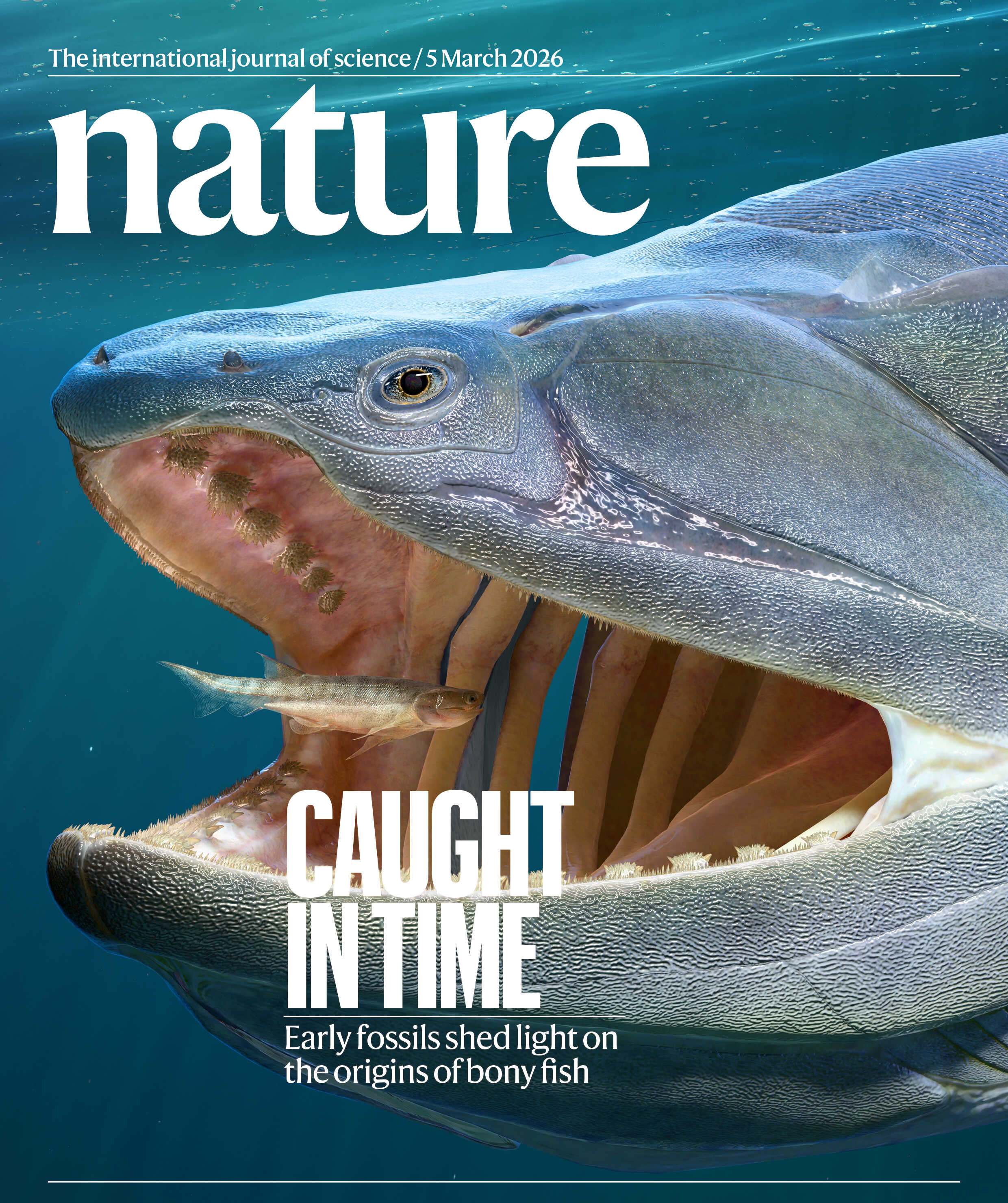 Oldest Known Bony Fish Fossils Uncover Early Vertebrate Evolution