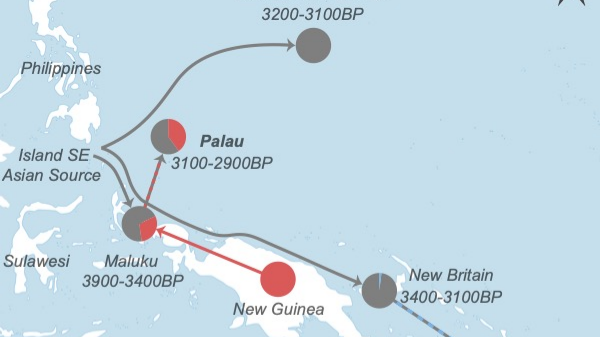 A new study of ancient Palauan DNA reveals the longest stretch of population continuity anywhere in Remote Oceania