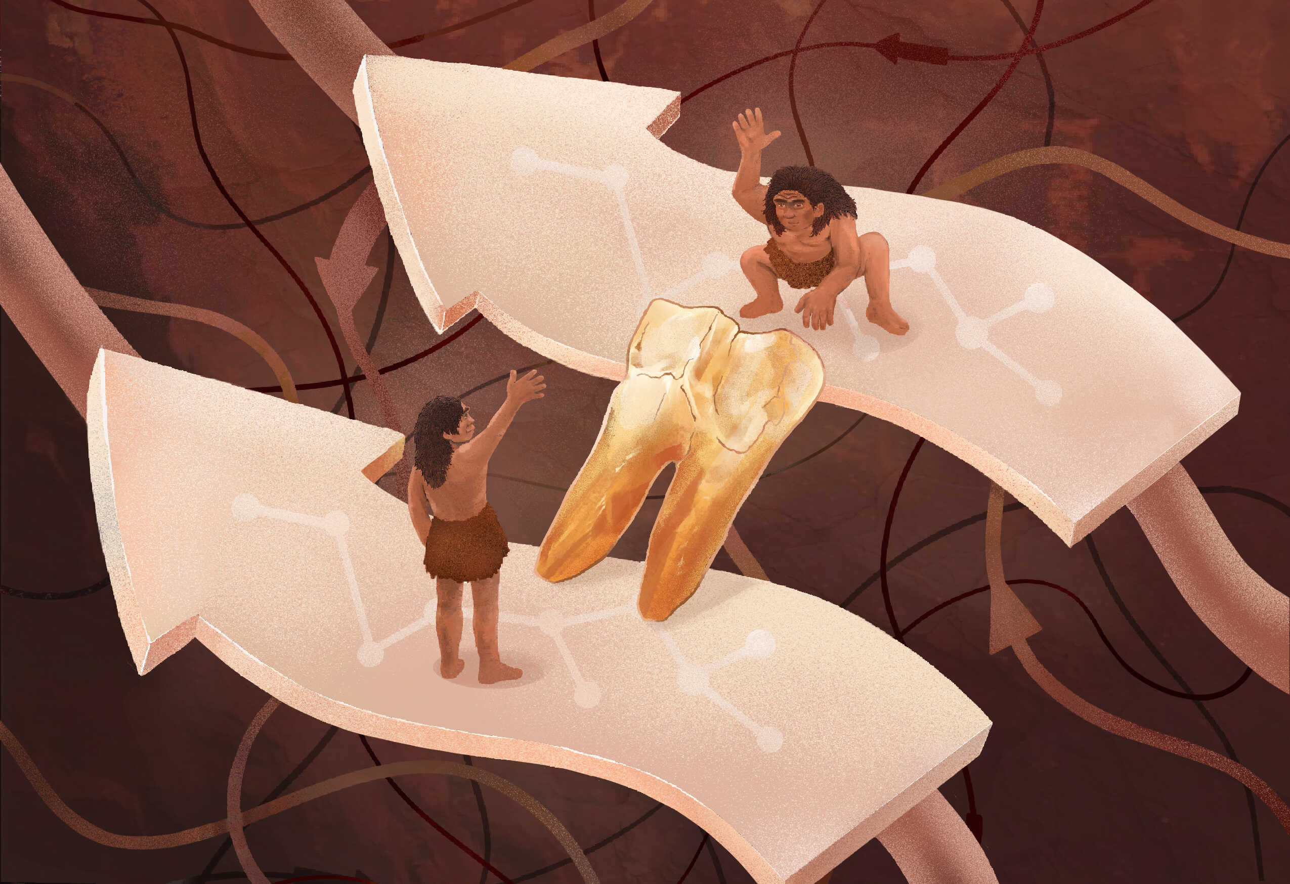 Researchers Reveal New Clues About H. erectus Evolution While Advancing Paleoproteomics
