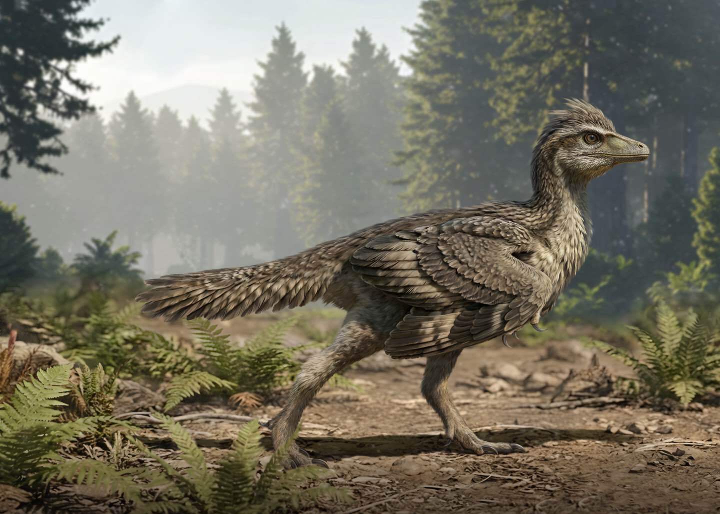 China Jurassic Pocket-Sized Bird Fills a Puzzle of the Evolution of Bird Tail