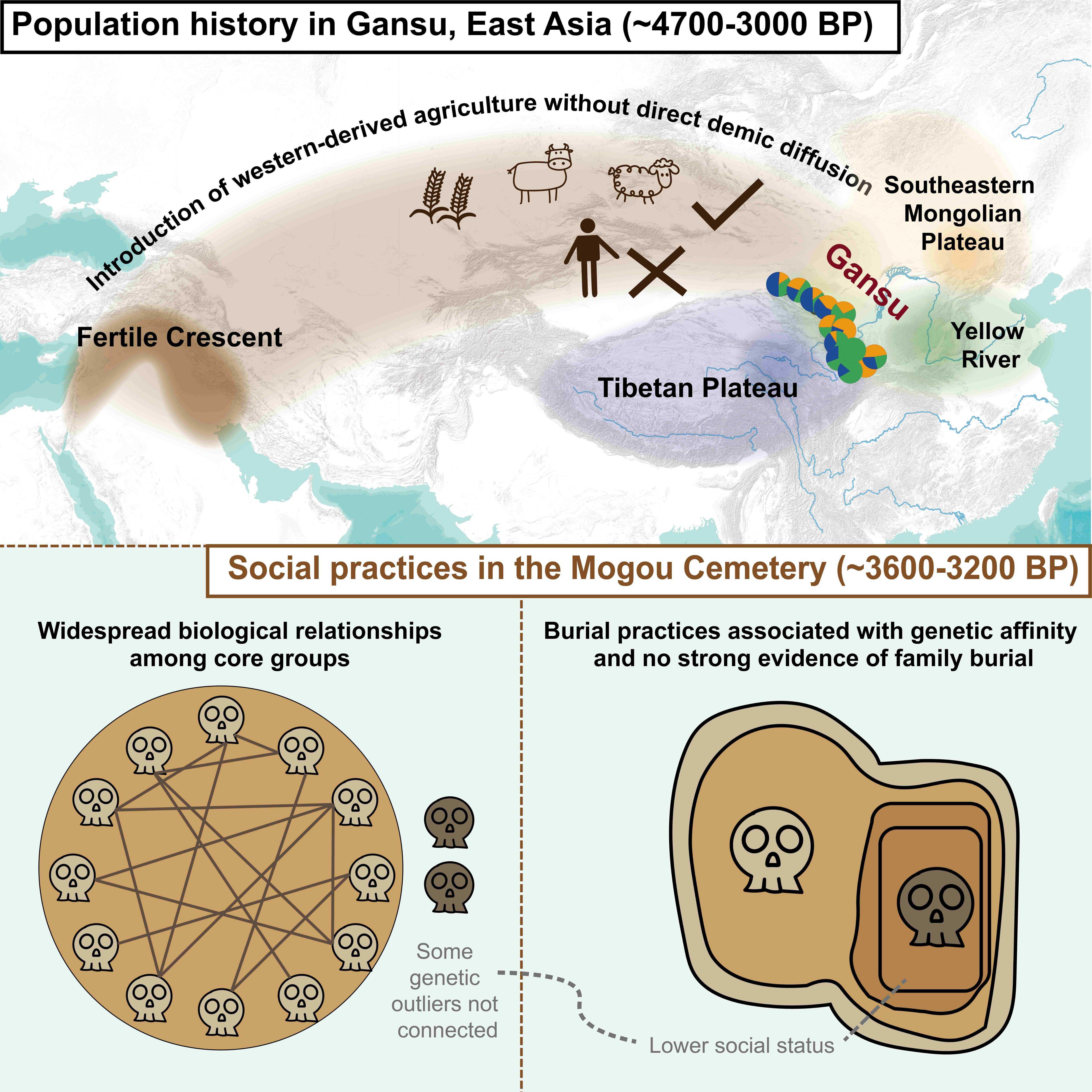 Multidisciplinary Study Sheds Light on Agricultural Diffusion, Population Movement, and Funeral Practices in Ancient Gansu