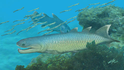 Devonian Fish