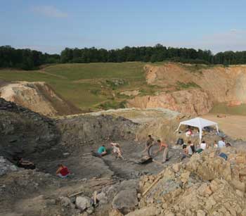 horned dinosaur europe hungary triceratops island